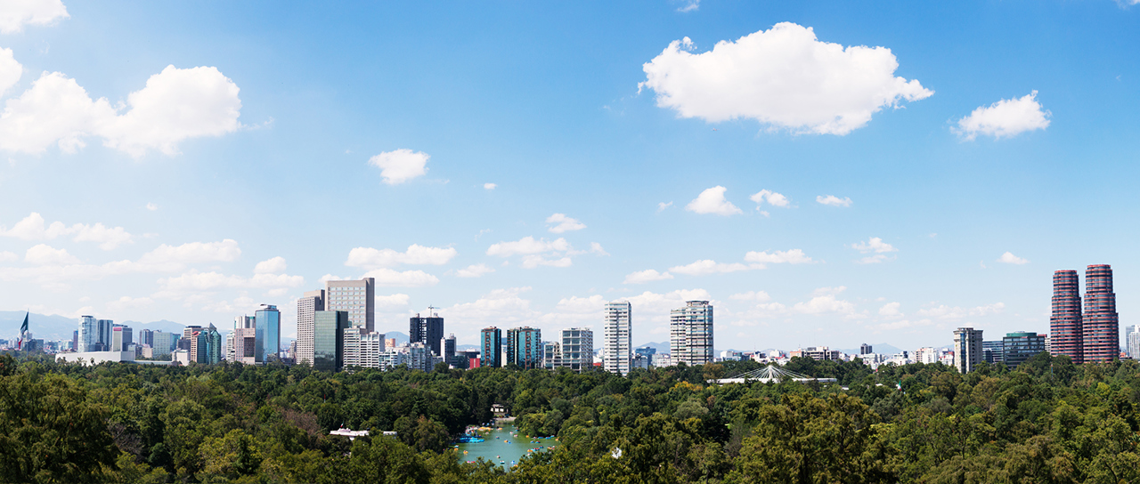 Presencia local en todo el mundo