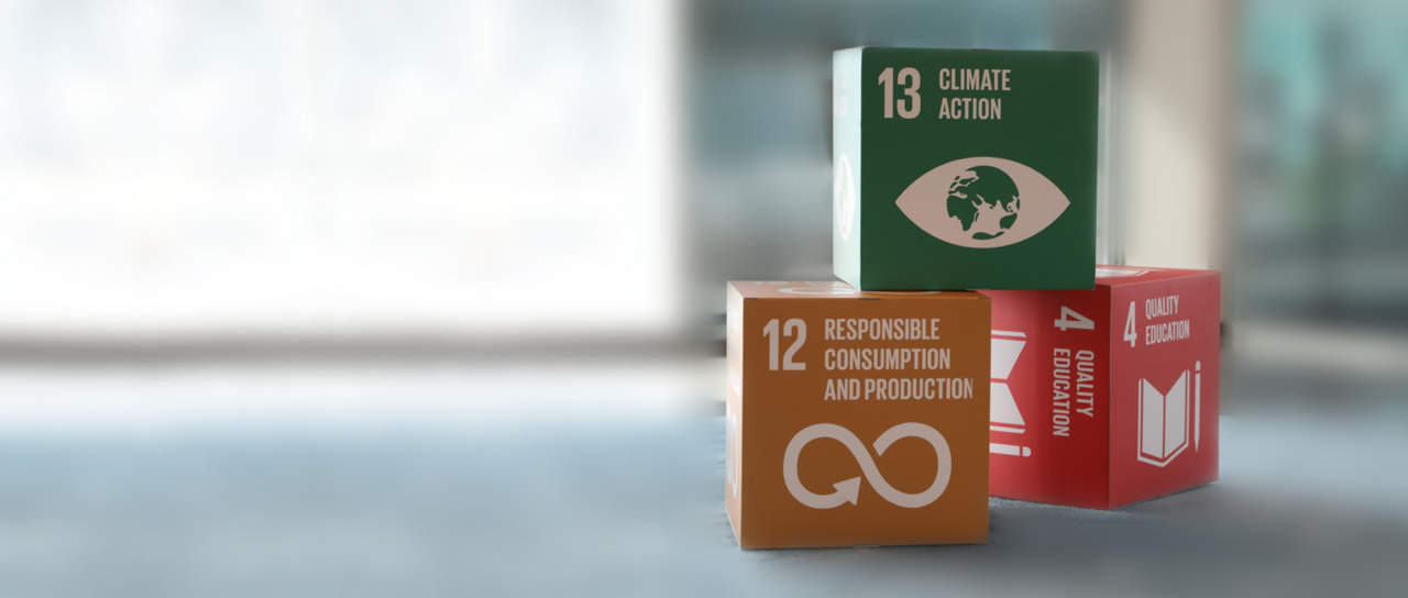 Çevresel etkimizi en aza indirme