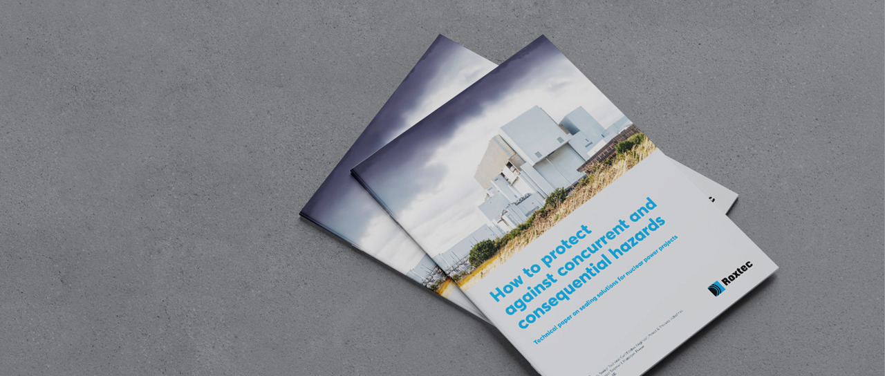 Sharing sealing expertise with the nuclear power industry