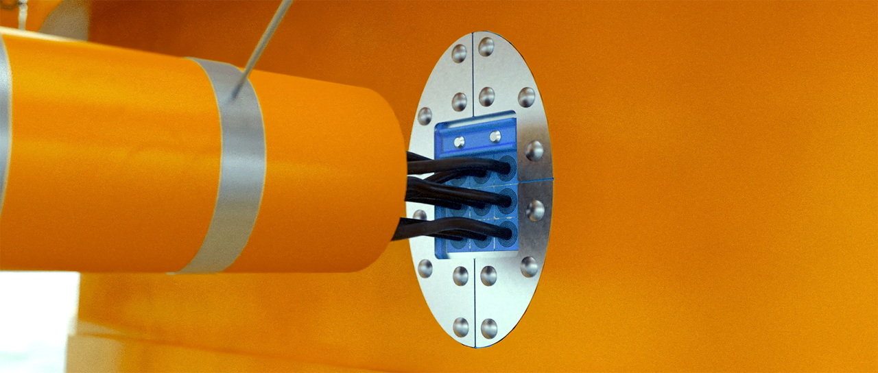 Technical webinar on seals for offshore wind farms